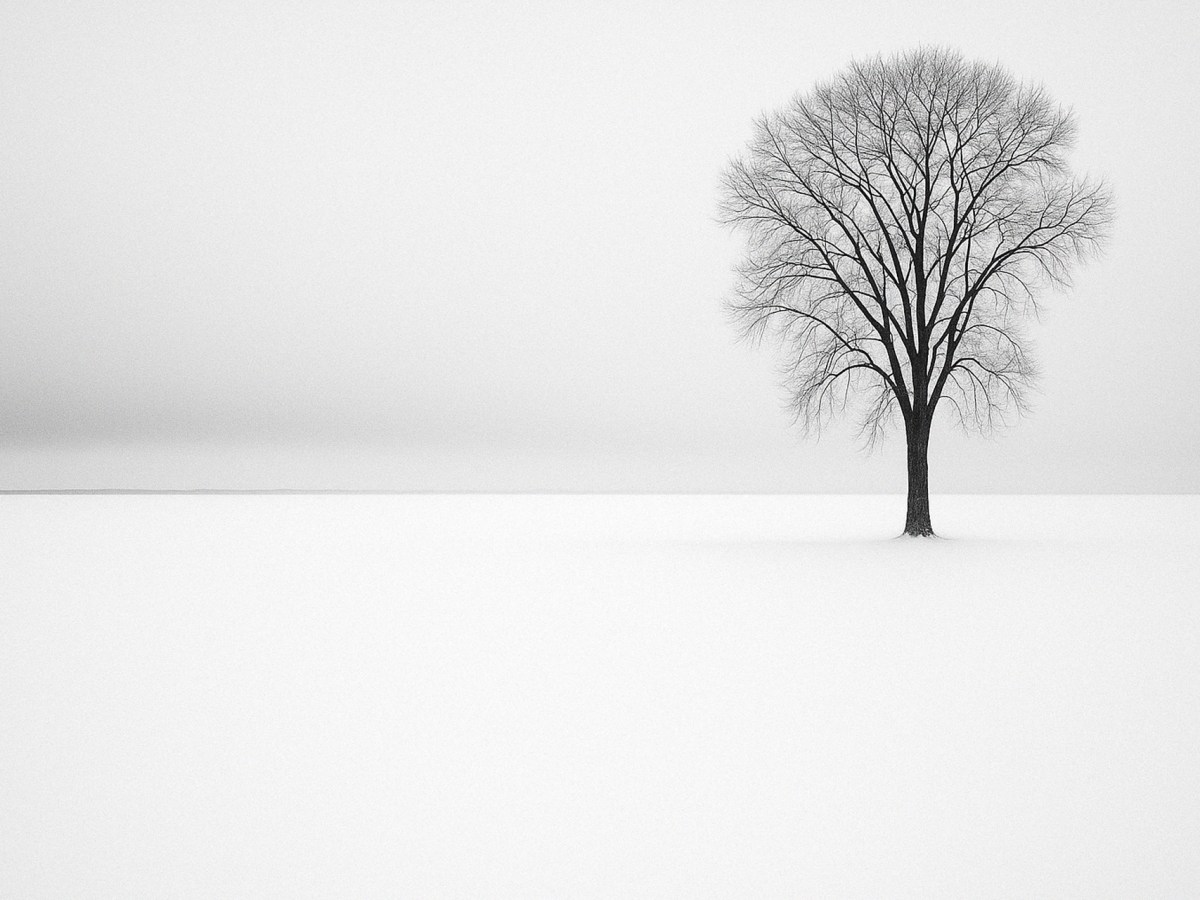 L&rsquo;arbre isolé