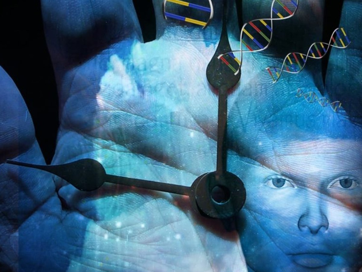 IA et transhumanisme ou la promesse d&rsquo;un corps en santé&nbsp;perpétuelle